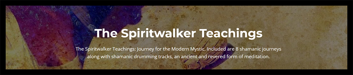 Hank Wesselman The Spiritwalker Teachings: Journey for the Modern Mystic.
